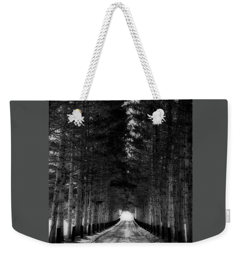 Snowy Trail To Winter Weekender Tote Bag featuring the photograph SnowyTrail to Winter by Femina Photo Art By Maggie