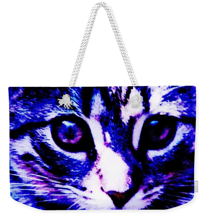 Cat Weekender Tote Bag featuring the photograph So Blue Without You by Angela Davies