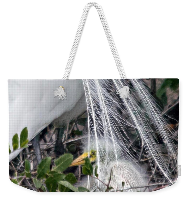 susan Molnar Weekender Tote Bag featuring the photograph So Safe With Mom 2 by Susan Molnar