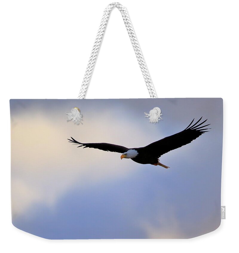 Eagle Weekender Tote Bag featuring the photograph Soaring Bald Eagle by Gary Corbett