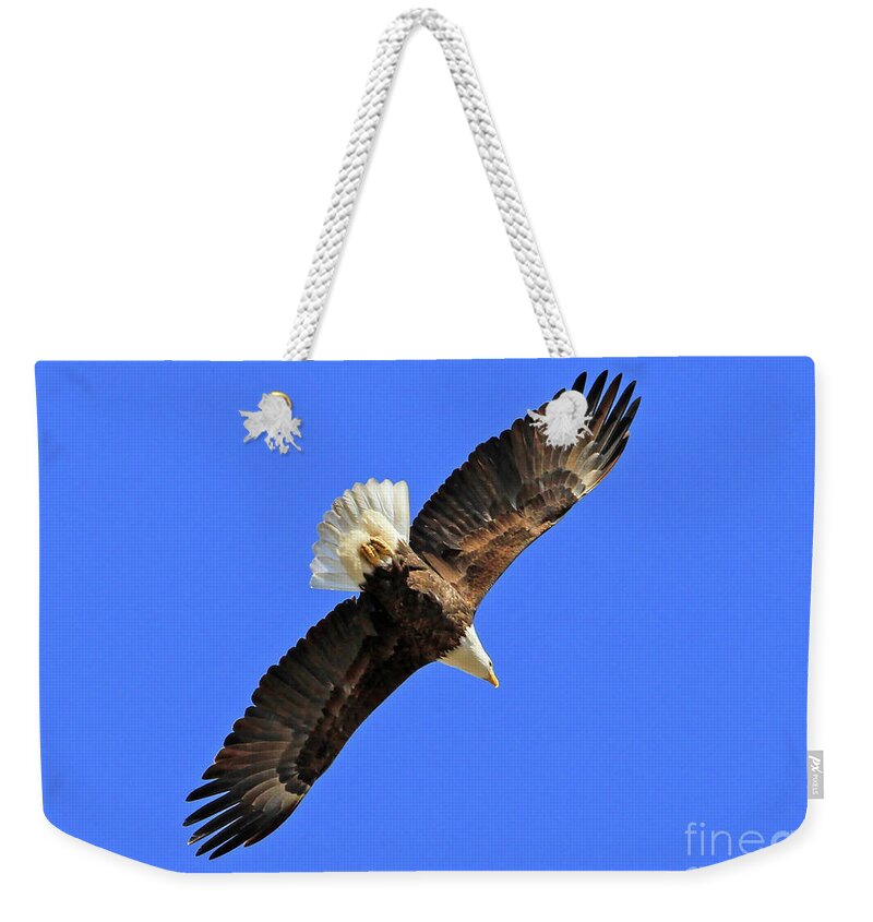 Blue Weekender Tote Bag featuring the photograph Soaring into the Blue by Paula Guttilla
