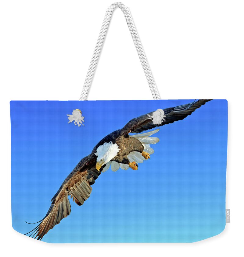 Eagle Weekender Tote Bag featuring the photograph Soaring by Steve Gass