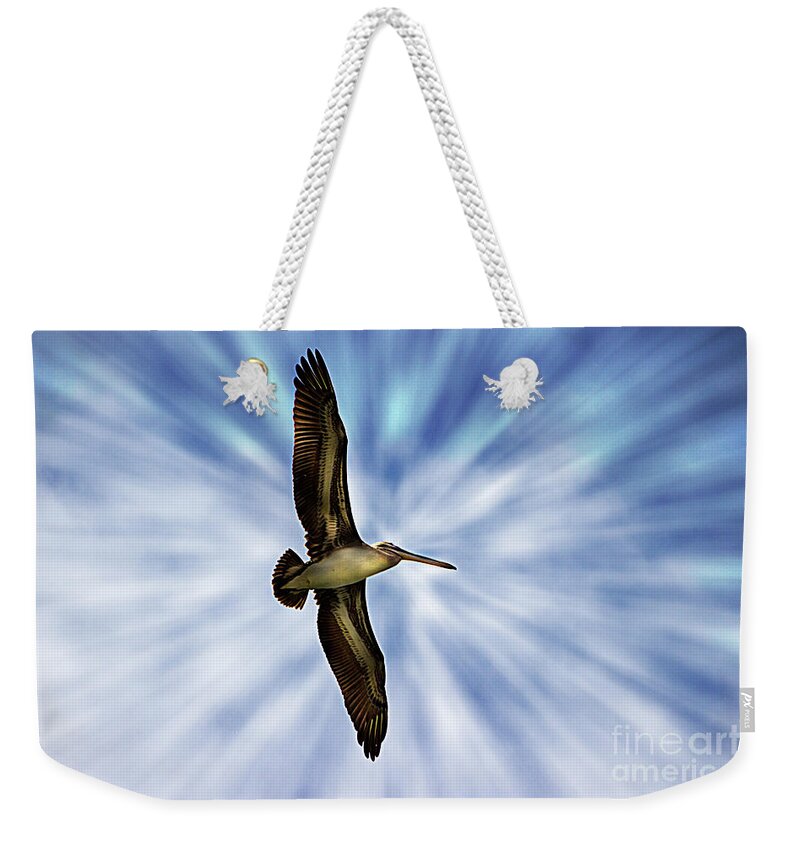 Pelican Weekender Tote Bag featuring the photograph Soaring With Ease At Puerto Lopez by Al Bourassa