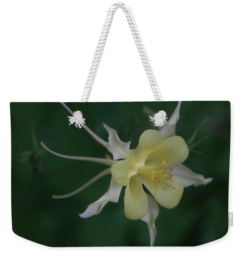 Photograph Weekender Tote Bag featuring the photograph Soft and Graceful by Suzanne Gaff