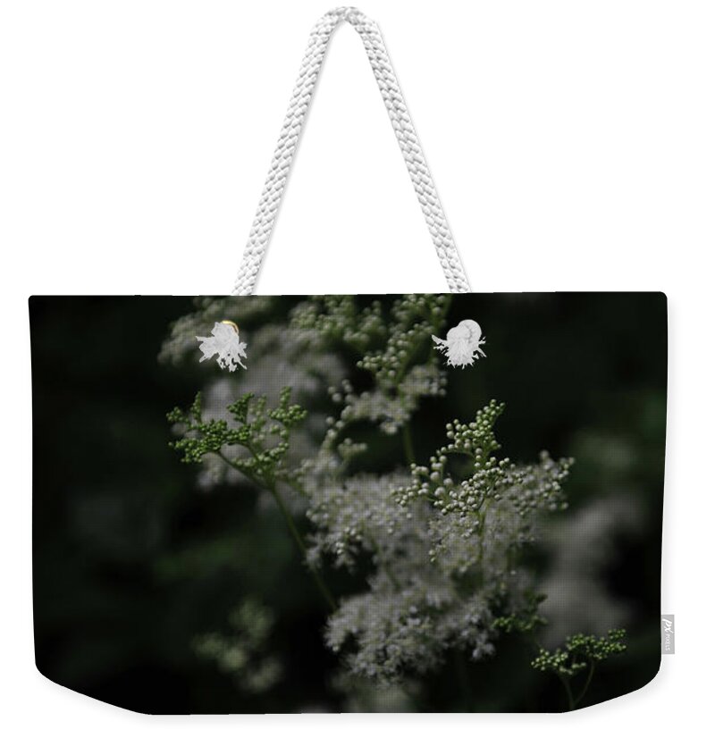 Plant Weekender Tote Bag featuring the photograph Soft as a Whisper by Randi Grace Nilsberg
