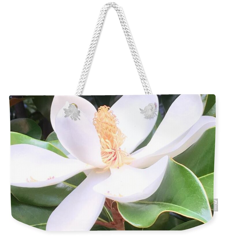 Magnolia Weekender Tote Bag featuring the photograph Soft Magnolia by Pamela Henry