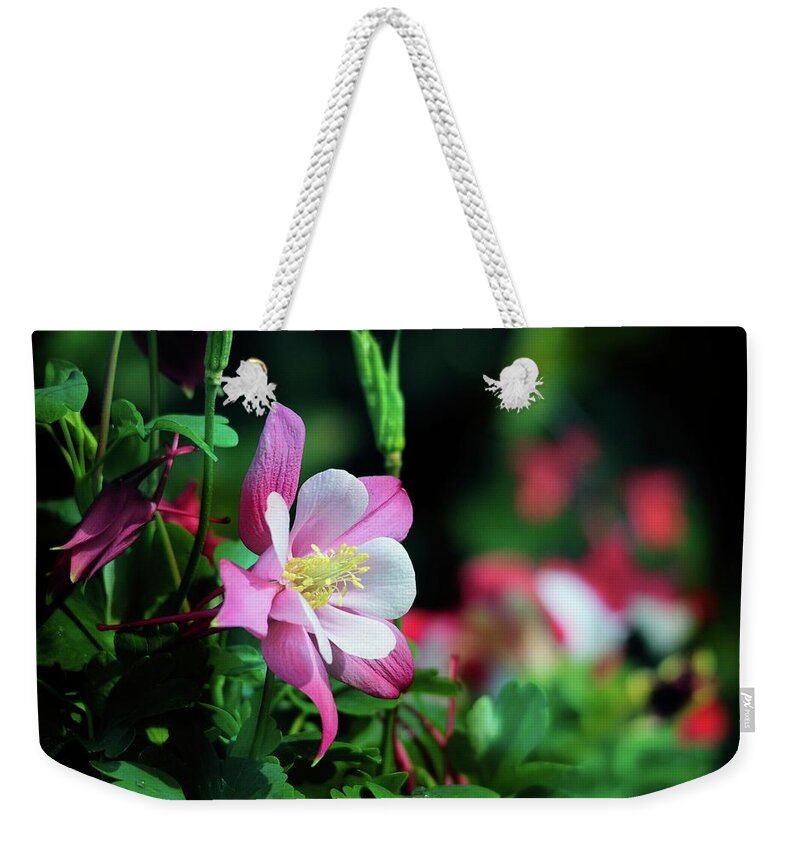 Wildflowers Weekender Tote Bag featuring the photograph Soft Pink Columbine by Lynn Bauer