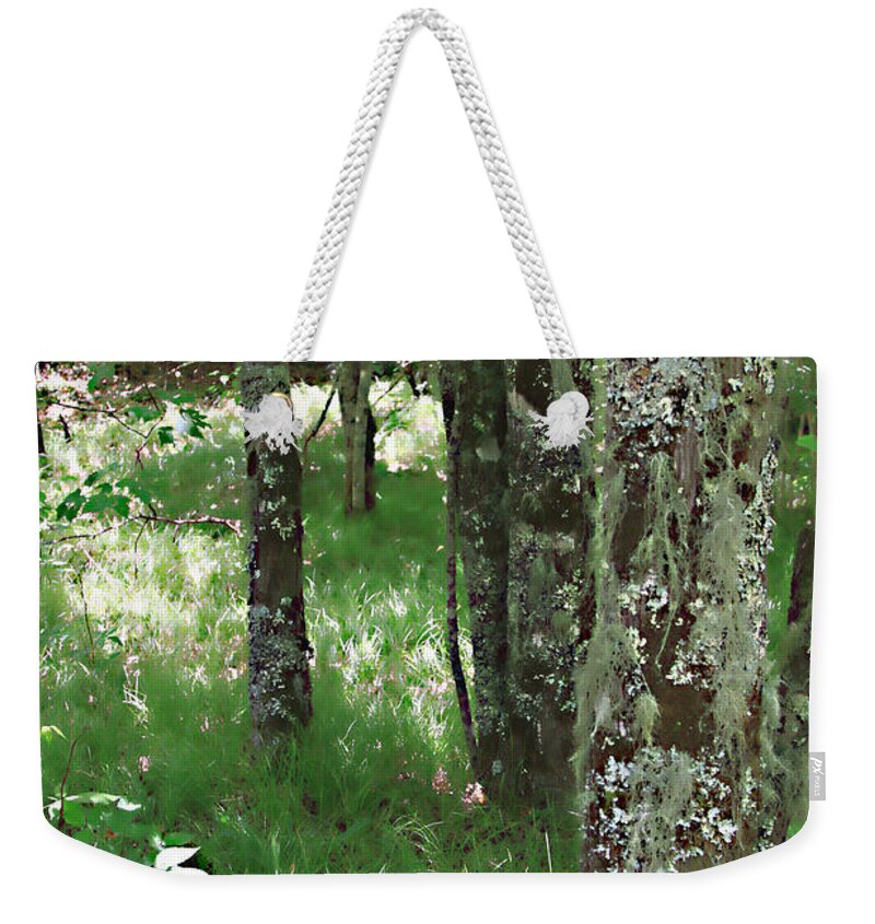 Trees Forrest Green Photograph Photography Digital Summer Weekender Tote Bag featuring the photograph Soft Trees by Shari Jardina