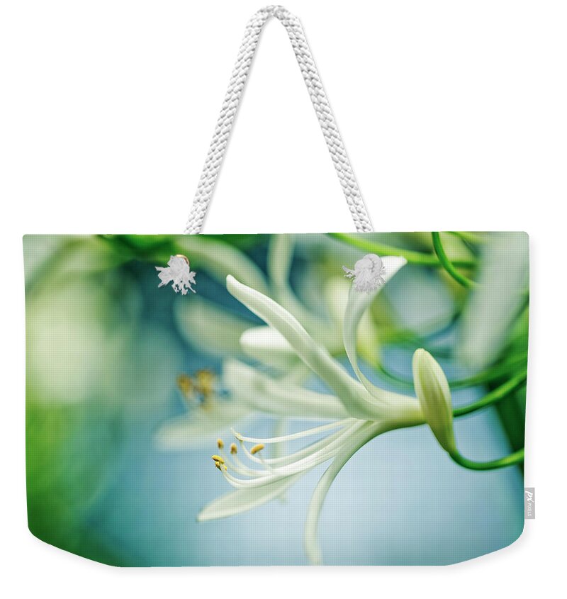 Soft Weekender Tote Bag featuring the photograph Soft White by Nailia Schwarz