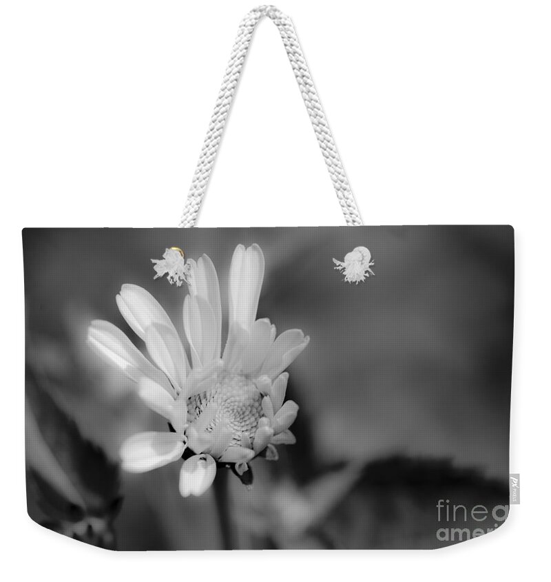 White Weekender Tote Bag featuring the photograph Soft White Petals by Alana Ranney