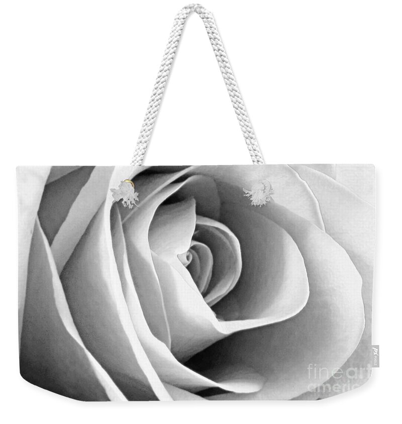 Rose Weekender Tote Bag featuring the photograph Softened Rose by Kelly Holm