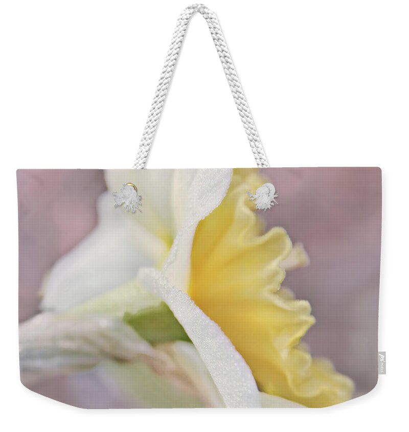 Daffodil Weekender Tote Bag featuring the photograph Softness of a Daffodil Flower by Jennie Marie Schell