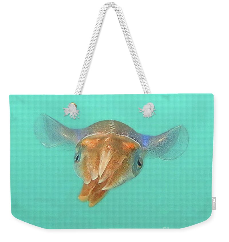 Underwater Weekender Tote Bag featuring the photograph Solitary Squid by Daryl Duda
