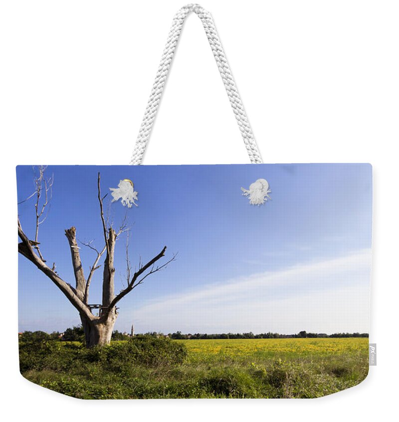 Italian Countryside Weekender Tote Bag featuring the photograph Solitary tree by Helga Novelli