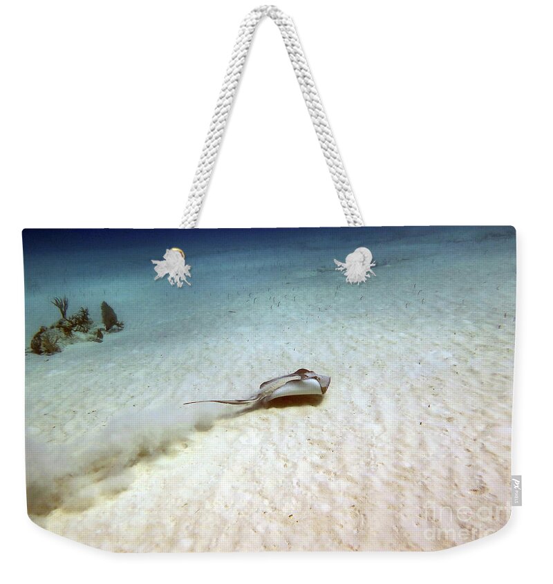 Underwater Weekender Tote Bag featuring the photograph Solitude by Daryl Duda