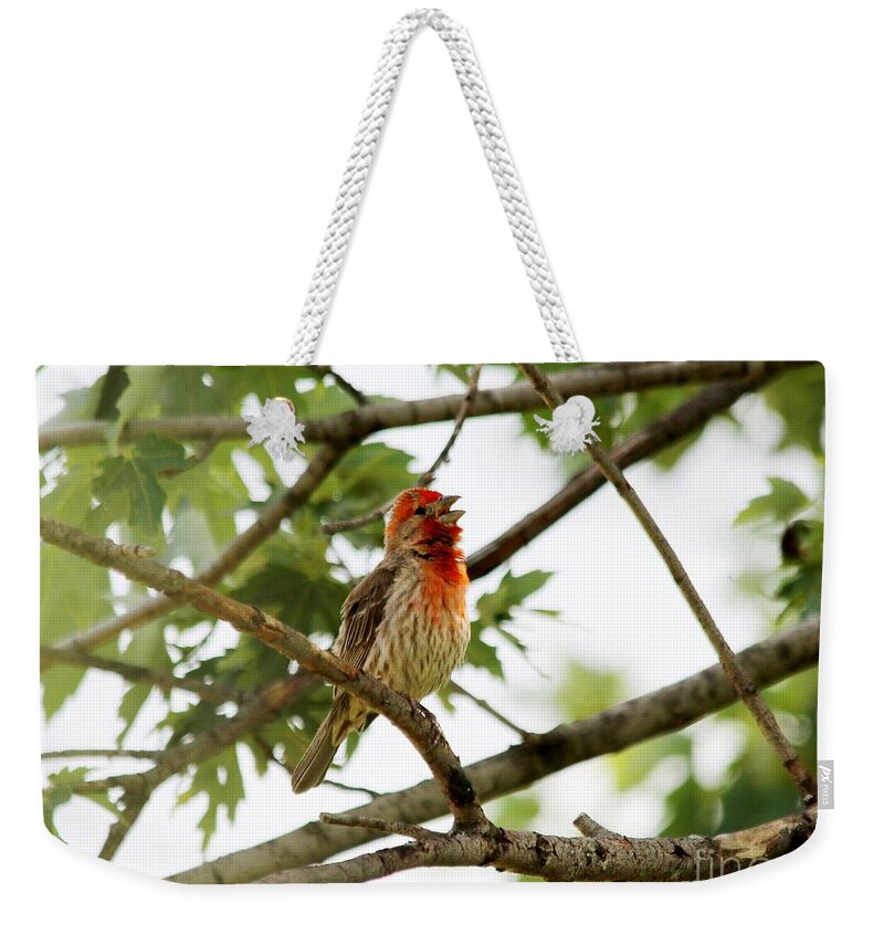 Mccombie Weekender Tote Bag featuring the photograph Solo Act by J McCombie