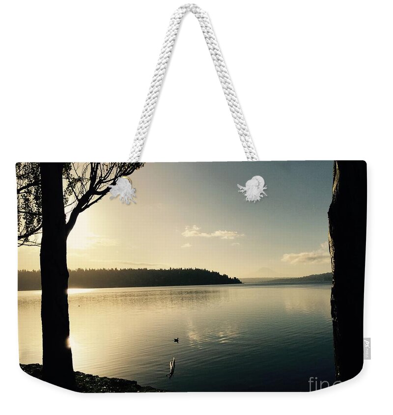Mount Rainier Weekender Tote Bag featuring the photograph Solo Duck in the Sun by LeLa Becker