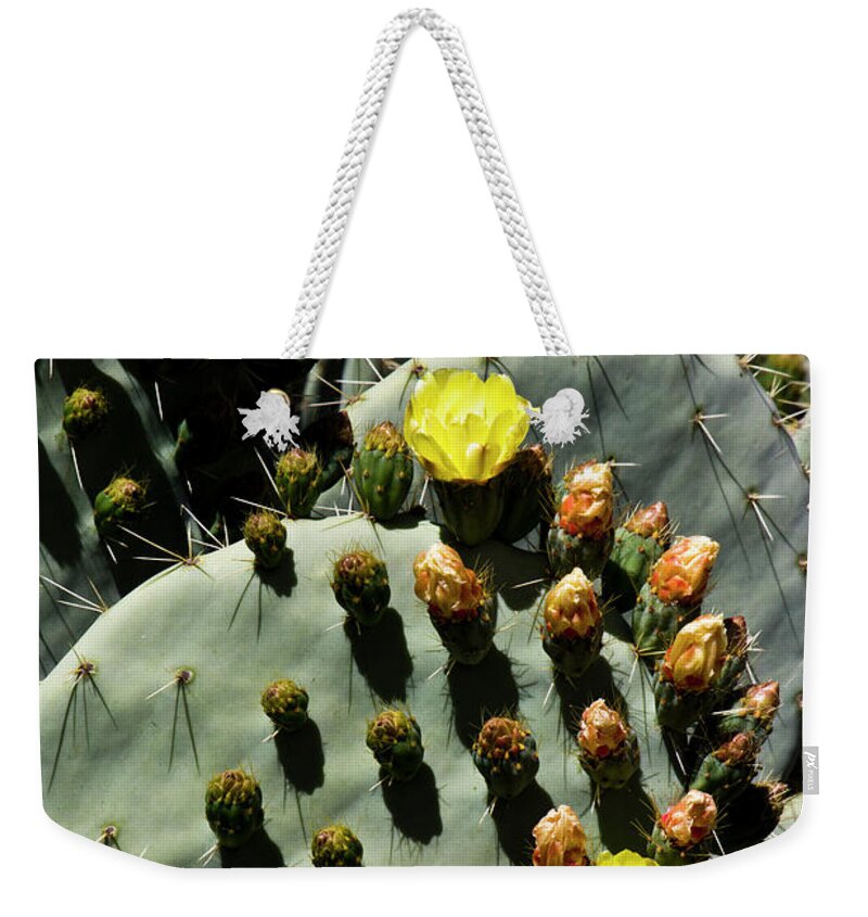 Nopal Weekender Tote Bag featuring the photograph Sombras by Kathy McClure