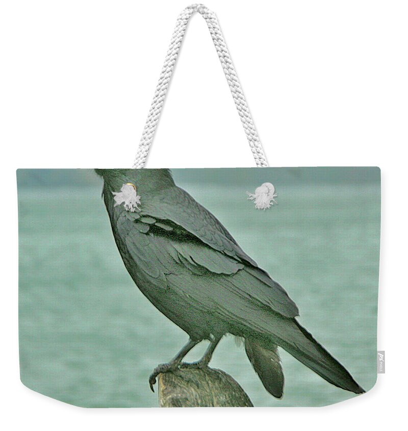 Bird Weekender Tote Bag featuring the photograph Something to Crow About by Joyce Creswell