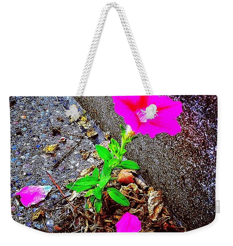 Flowers Weekender Tote Bag featuring the photograph Sometimes Beauty Grows In Some Rather by Nick Heap