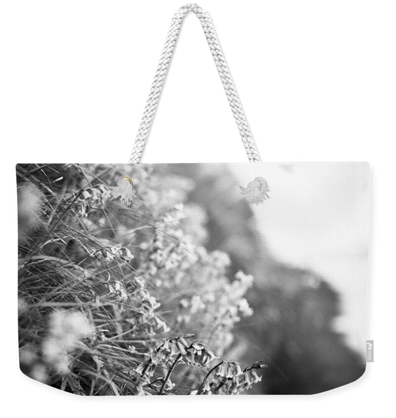 Weekender Tote Bag featuring the photograph Sometimes Beauty Waits To Be Found In by Aleck Cartwright