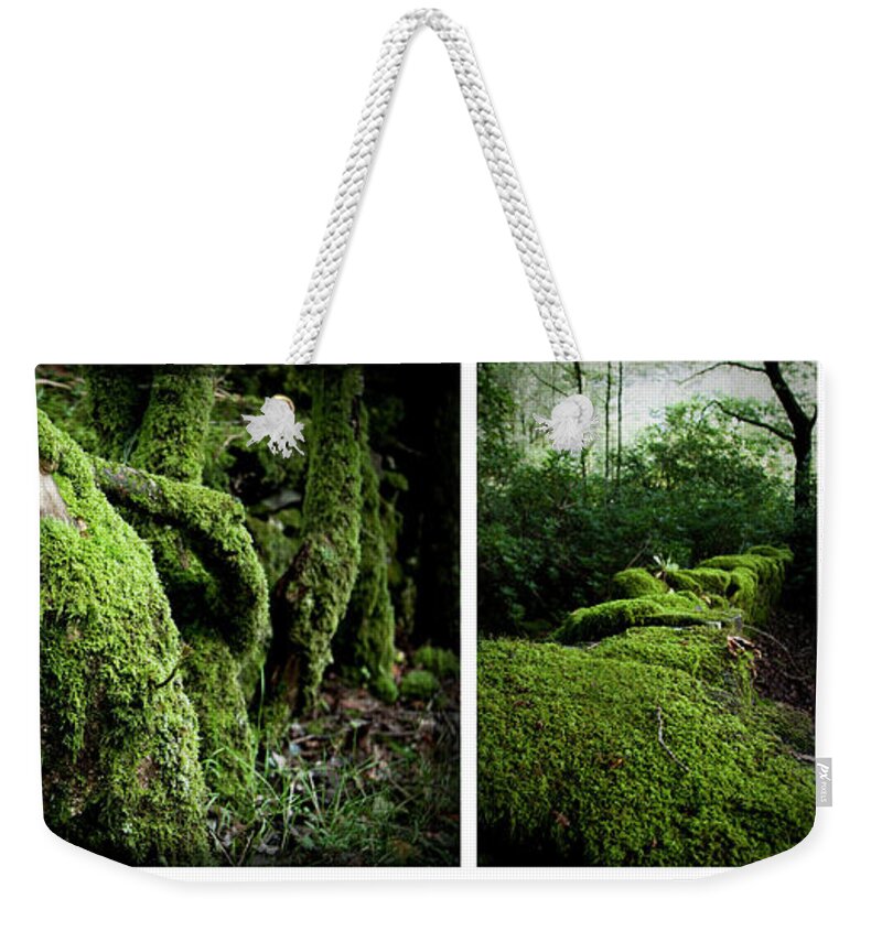 Nant Gwynant Weekender Tote Bag featuring the photograph Somewhere Only We Go by Dorit Fuhg