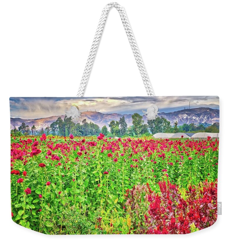Moorpark Weekender Tote Bag featuring the photograph Somis Flower Fields by Lynn Bauer