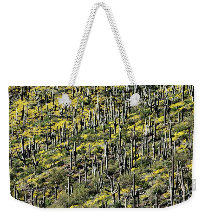 Horizontal Weekender Tote Bag featuring the photograph Sonoran Desert, Arizona by Patrick McGill