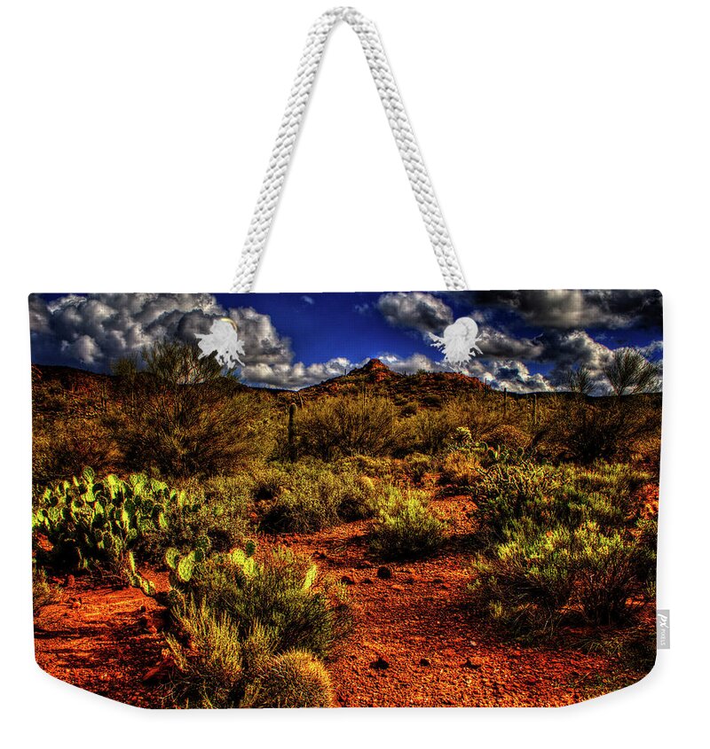 Arizona Weekender Tote Bag featuring the photograph Sonoran Desert Winter 02 by Roger Passman
