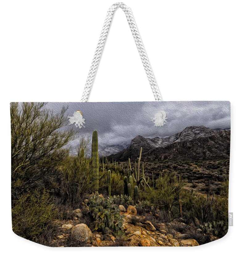 America Weekender Tote Bag featuring the photograph Sonoran Winter No.3 by Mark Myhaver