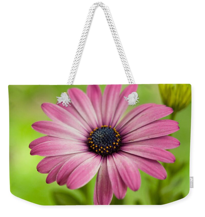 Flowers Weekender Tote Bag featuring the photograph Soprano On A Brilliant Day by Dorothy Lee