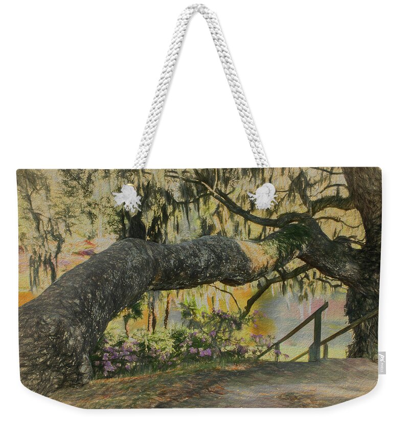  Nature Weekender Tote Bag featuring the photograph Southern Charm by Jim Cook