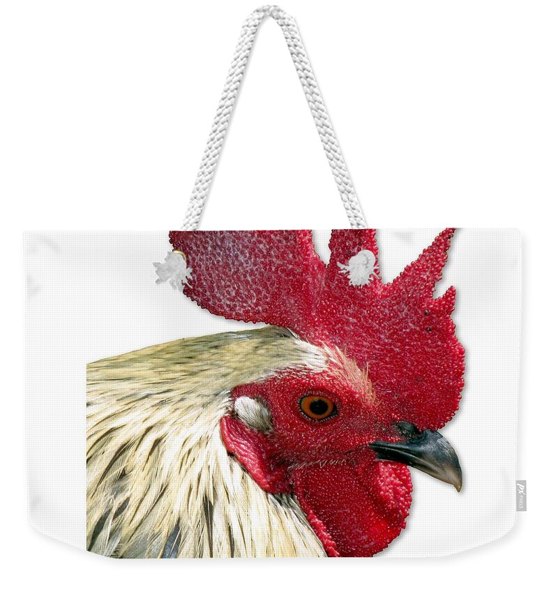 Key West Weekender Tote Bag featuring the photograph Special Edition Key West Rooster by Bob Slitzan