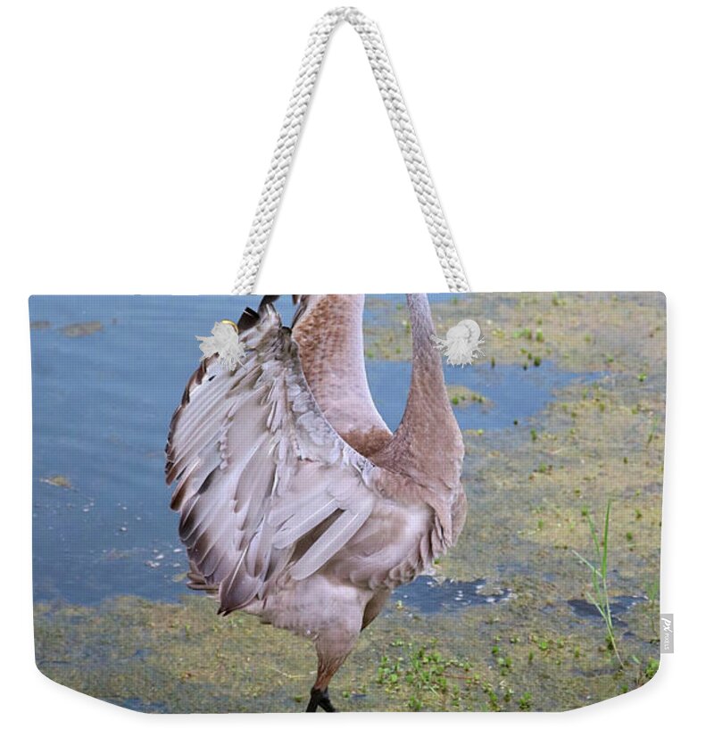 Beautiful Wings Weekender Tote Bag featuring the photograph Spectacular Wings by Carol Groenen