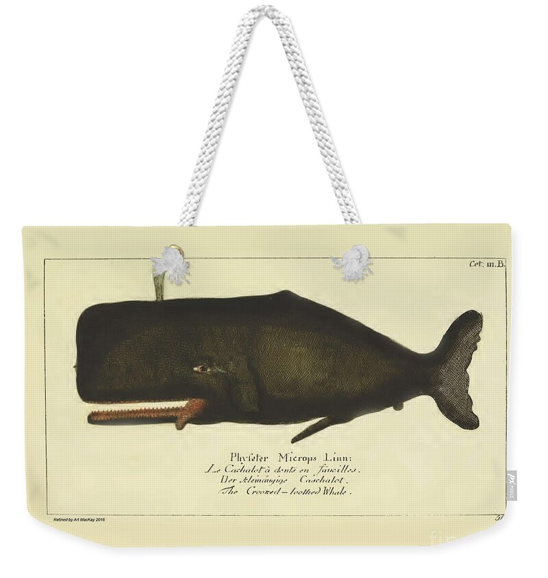 Gottlieb August Lange Weekender Tote Bag featuring the drawing Sperm Whale by G.A. Lange 1780 by Art MacKay