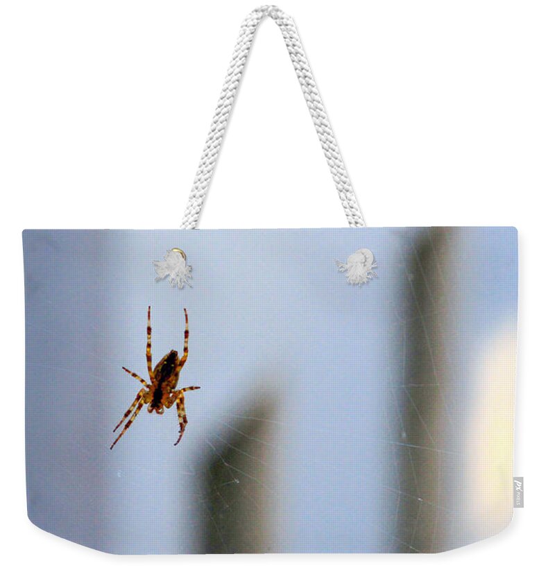 Bonnie Follett Weekender Tote Bag featuring the photograph Spider Hello Panorama by Bonnie Follett