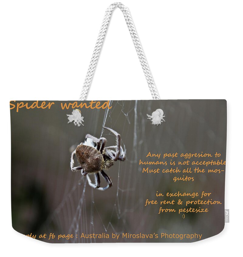 Spider Weekender Tote Bag featuring the photograph Spider Wanted by Miroslava Jurcik