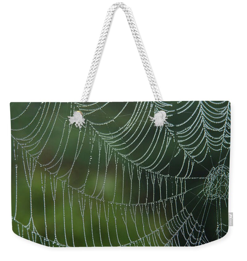 Spider Weekender Tote Bag featuring the photograph Spider Web II by Alana Ranney