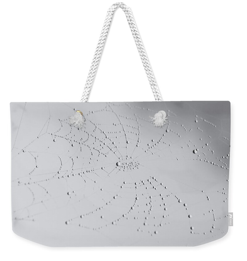 Nature Weekender Tote Bag featuring the photograph Spider Web after the storm by Andrea Anderegg