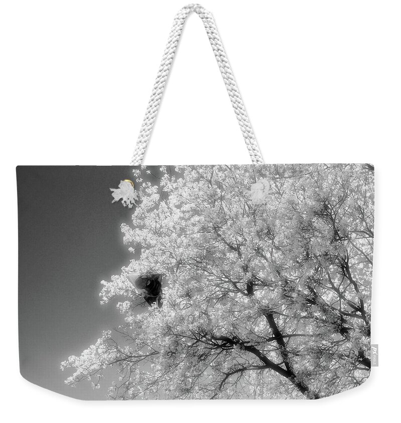 Black And White Weekender Tote Bag featuring the photograph Spiderman In A Tree 2 by Lyle Crump