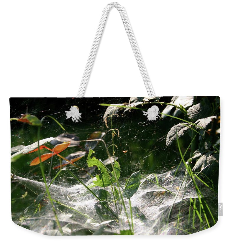 Spiderweb Weekender Tote Bag featuring the photograph Spiderweb over rose plants by Emanuel Tanjala