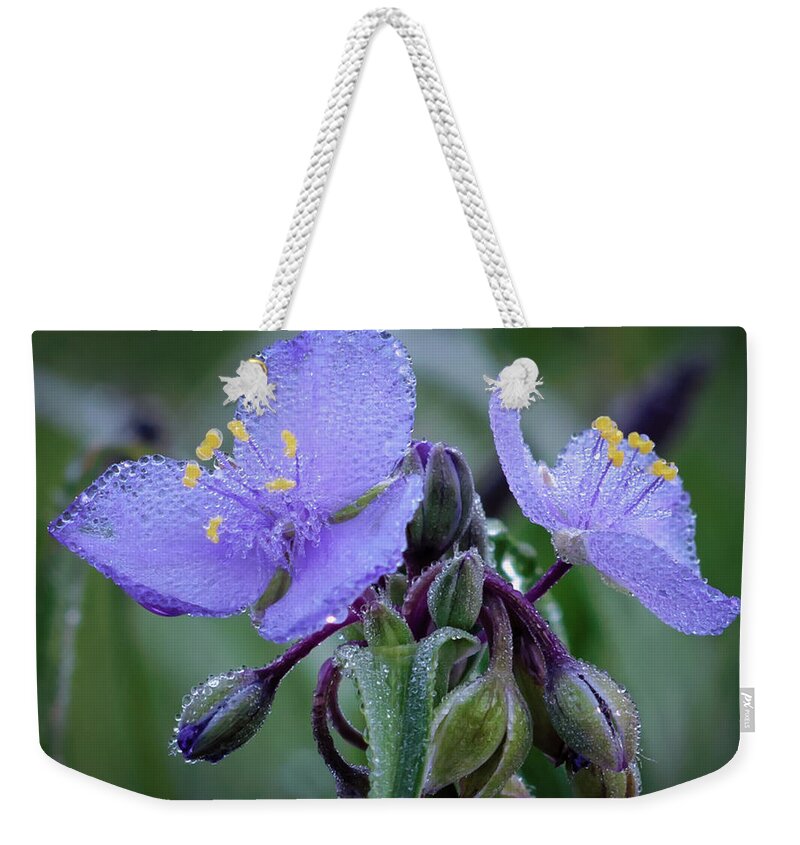 Tradescantia Weekender Tote Bag featuring the photograph Spiderwort by James Barber
