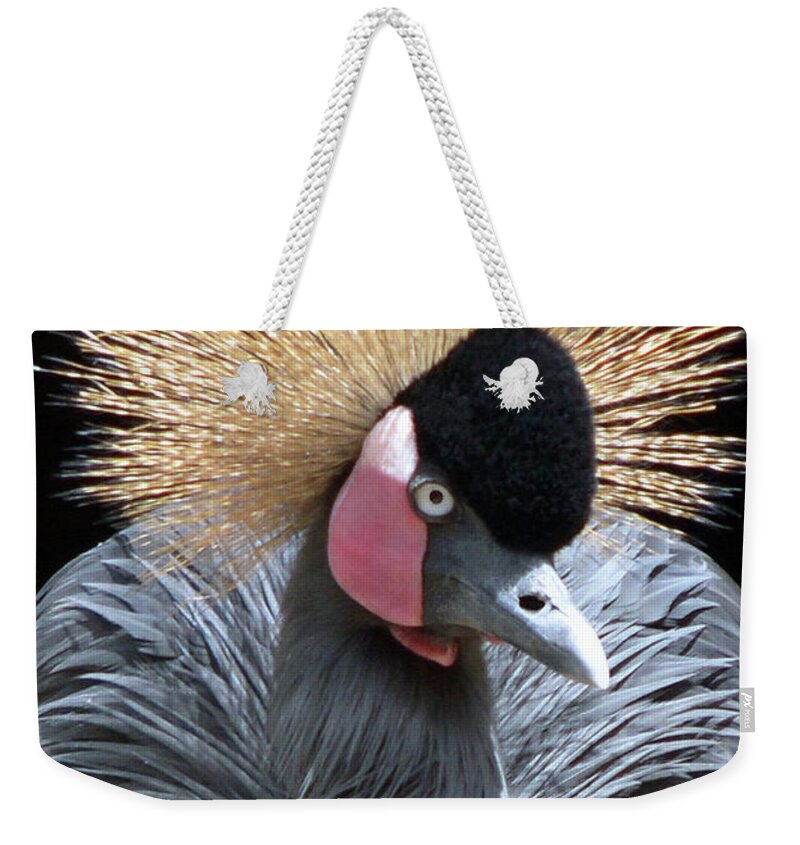 Bird Weekender Tote Bag featuring the photograph Spiked by Dan Holm