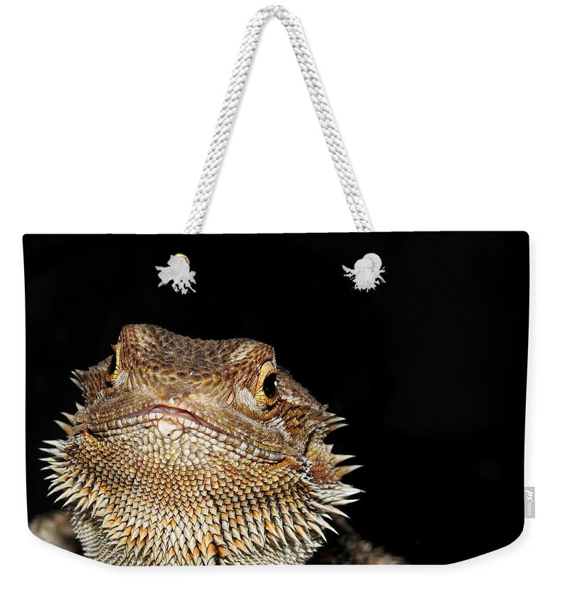 Spiky Weekender Tote Bag featuring the photograph Spiky by Dark Whimsy