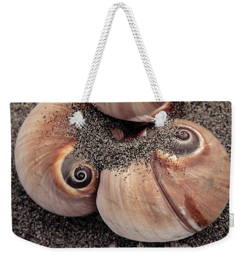 Seashells Weekender Tote Bag featuring the photograph Spiral Seashells by Lucid Mood