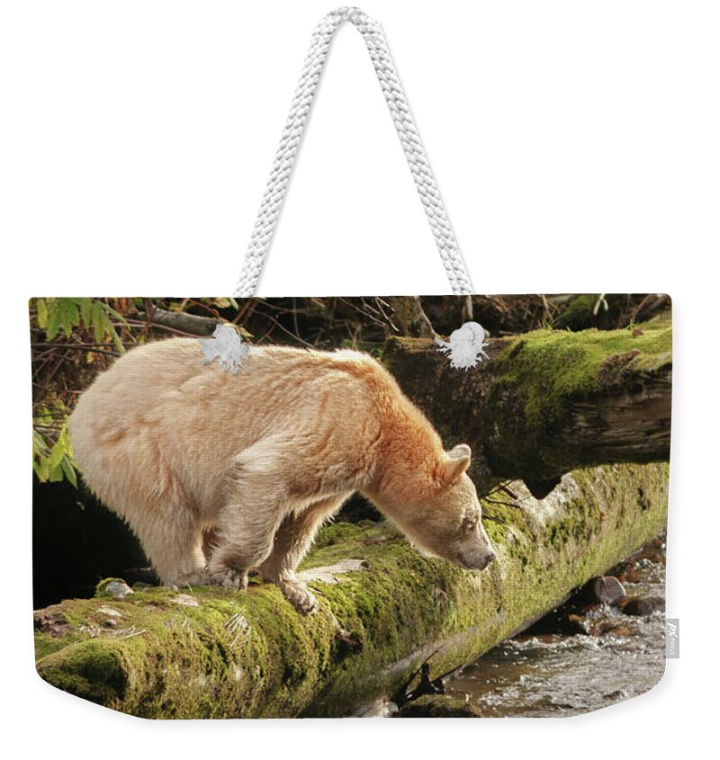 British Columbia Weekender Tote Bag featuring the photograph Spirit Intent on Fishing by Sylvia J Zarco