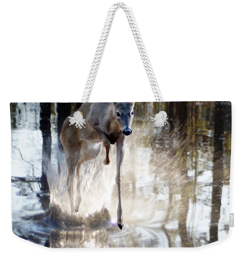 Deer Weekender Tote Bag featuring the photograph Splash Splash by Bill Stephens