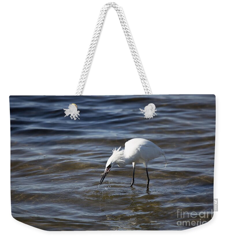 Egret Weekender Tote Bag featuring the photograph Splashing About V10 by Douglas Barnard