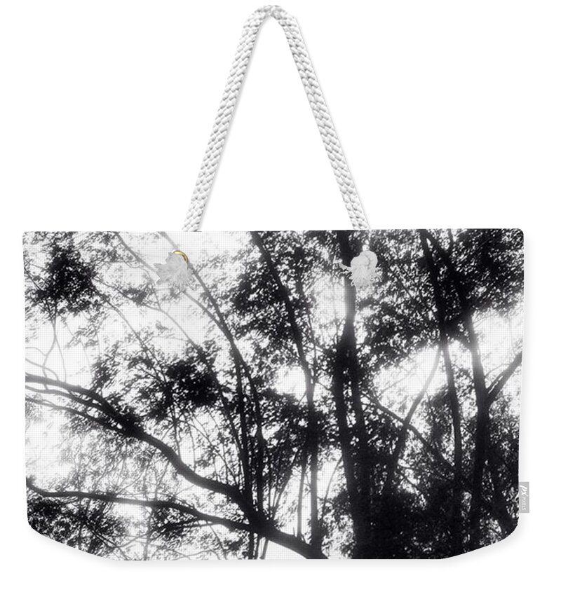 Brazil Weekender Tote Bag featuring the photograph Splayed Out by Aleck Cartwright