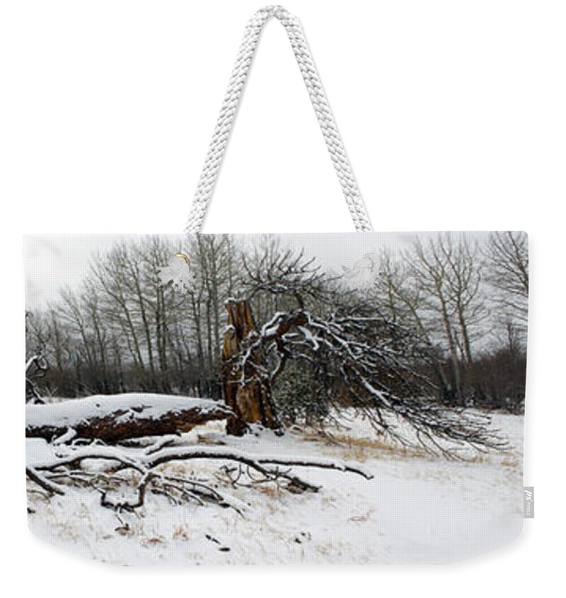 Tree Weekender Tote Bag featuring the photograph Split Personality - Panorama by Shane Bechler